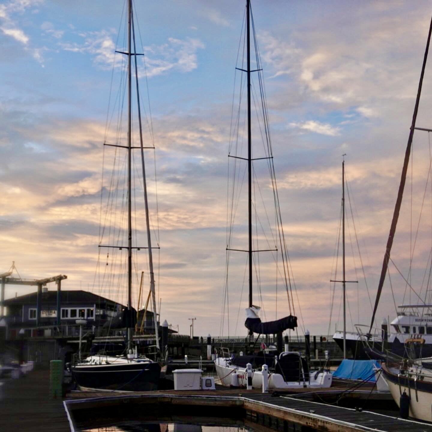 Monterey marina