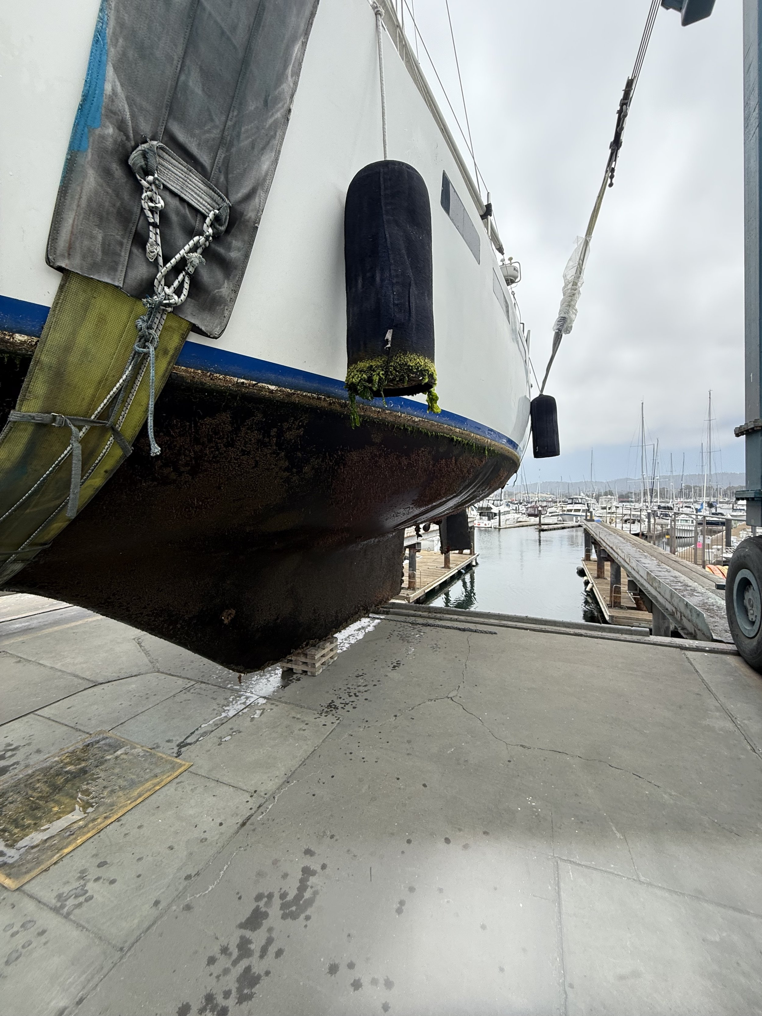 Marine growth on hull before cleaning